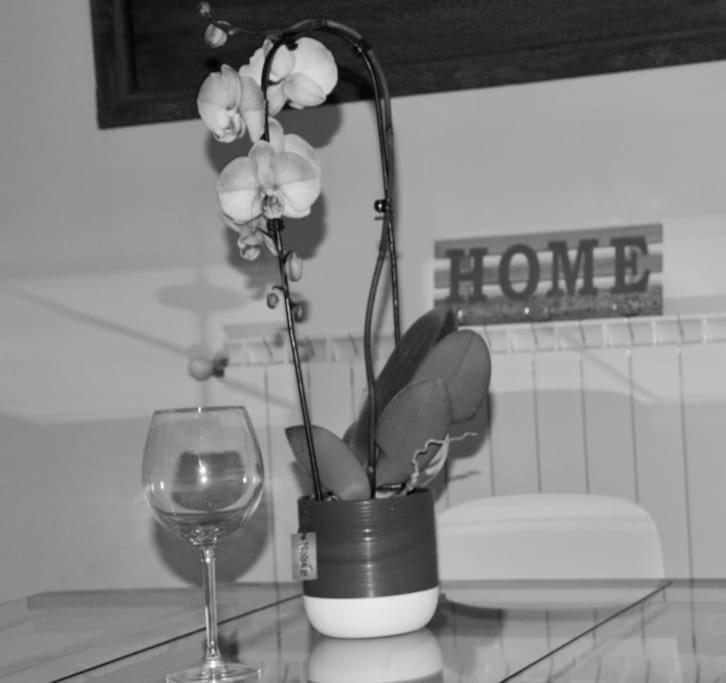 Brand New Apartment Firenze Bagian luar foto